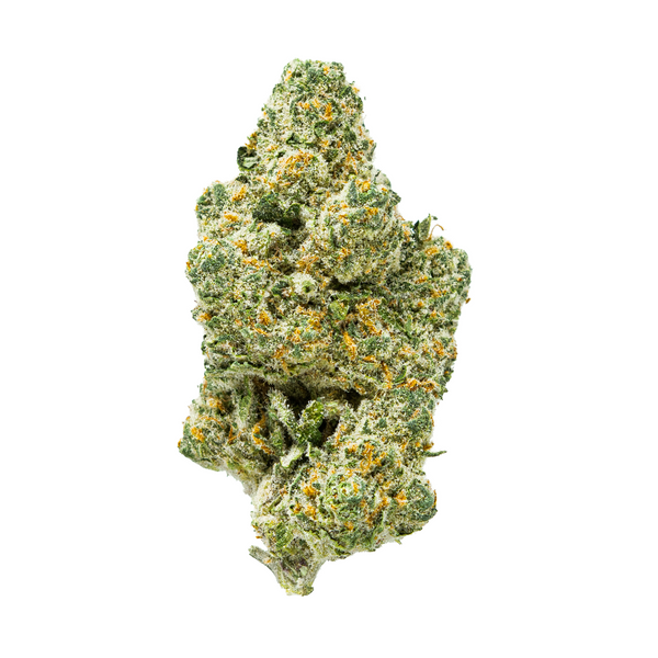 Gold Spectrum THCA Flower (Connoisseur) - Headband