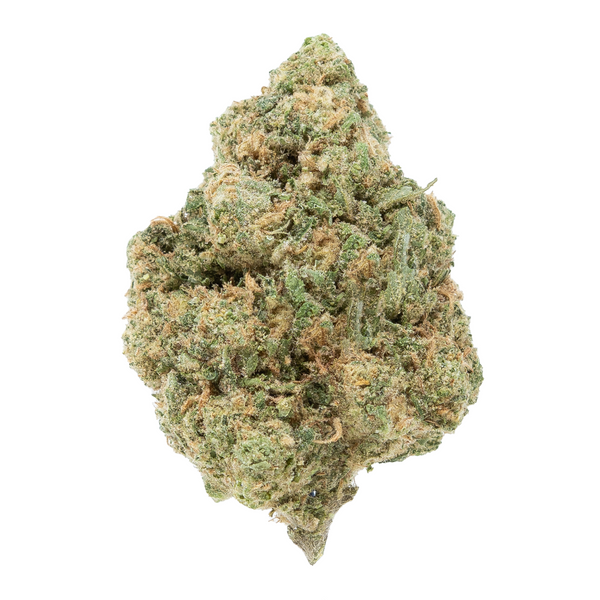 Gold Spectrum THCA Flower (Top) - Jack Herer