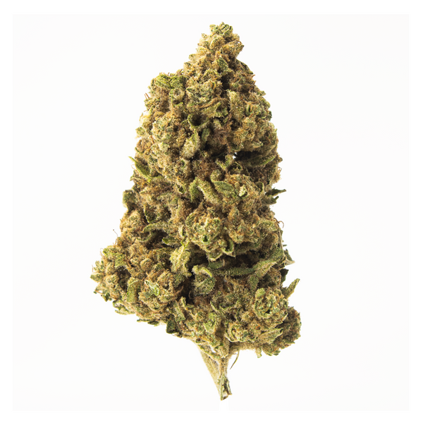 Gold Spectrum THCA Flower - Top Quality Strain of the Month