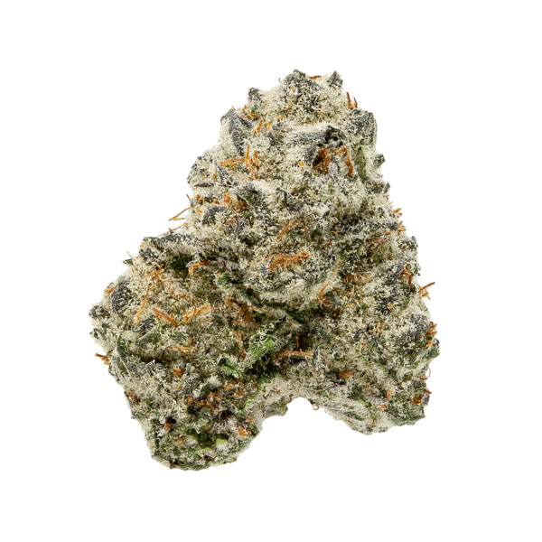 Gold Spectrum THCA Flower (Connoisseur) - Kacklesnatch