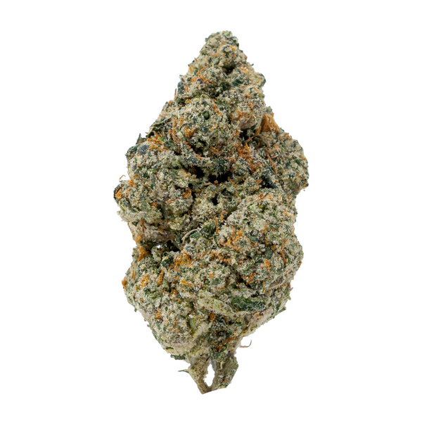 King Louis XIII Connoisseur THCa flower bud – Gold Spectrum