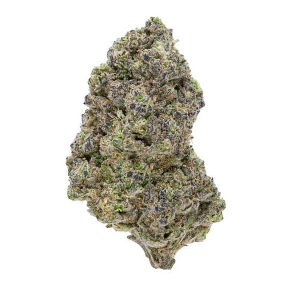 Gold Spectrum THCA Flower (Connoisseur) - Kush Mint Gelato