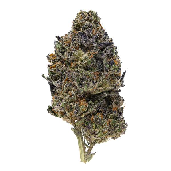 Gold Spectrum THCA Flower - 1G Clearance Flower