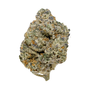 Lava Cake Connoisseur THCa flower bud – Gold Spectrum