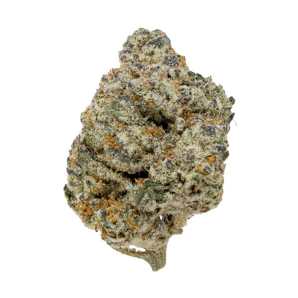 Lava Cake Connoisseur THCa flower bud – Gold Spectrum