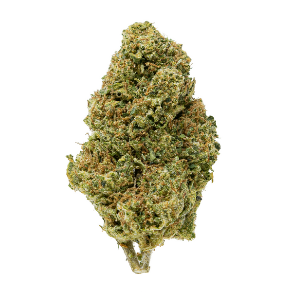 Flor de THCA de espectro dorado (parte superior) - Cherry Cookies