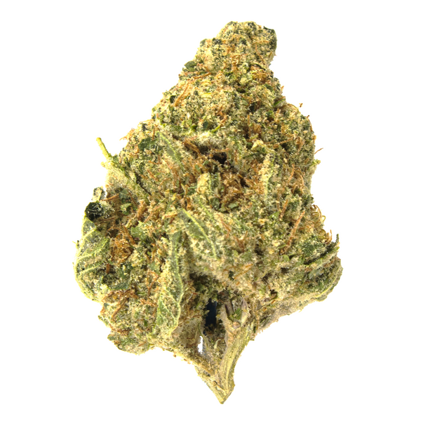 Gold Spectrum THCA Flower (Connoisseur) - Lemon Pound Cake