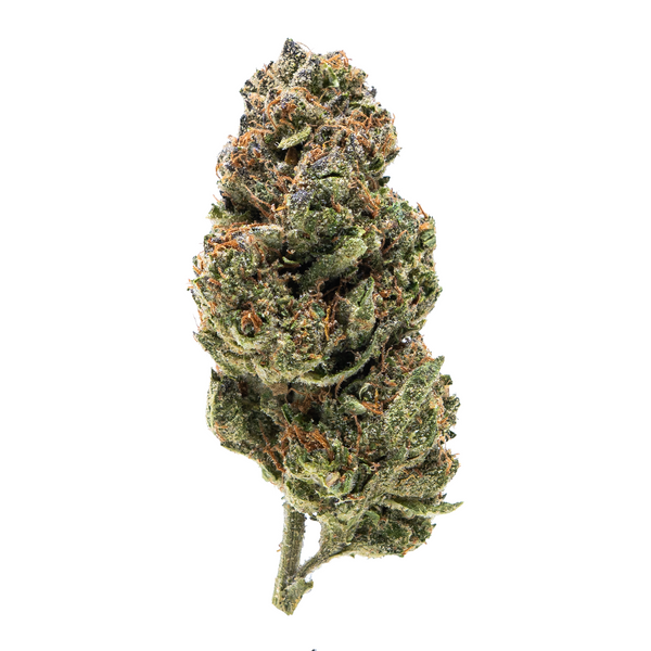 Gold Spectrum THCA Flower - 1G Clearance Flower