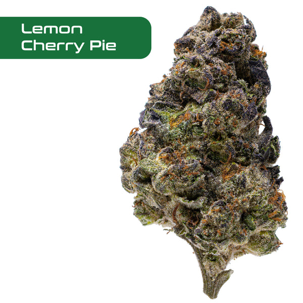 Gold Spectrum THCA Flower - Top Quality Strain of the Month