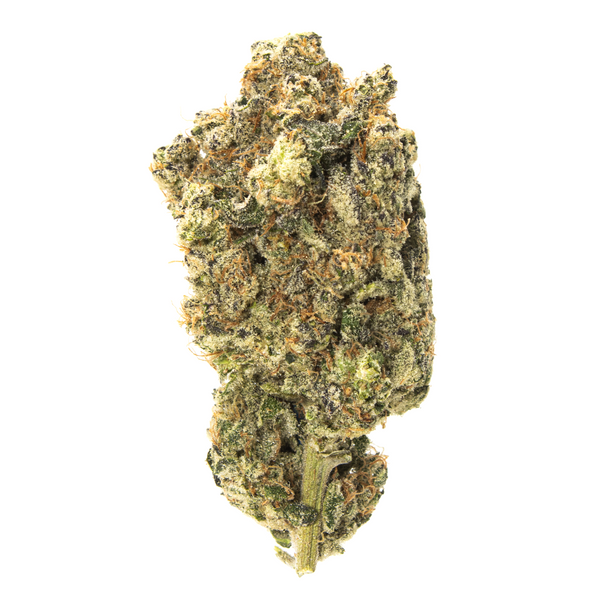 Gold Spectrum THCA Flower (Exotic) - Mac Stomper