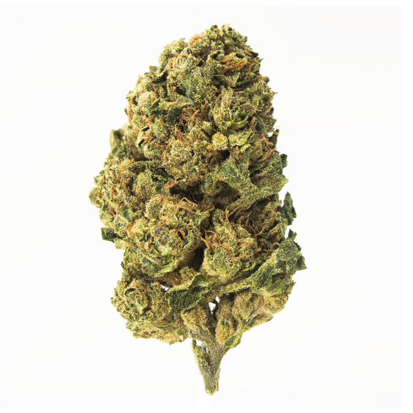Gold Spectrum THCA Flower - Top Quality Strain of the Month