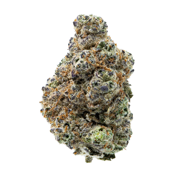 Gold Spectrum THCA Flower (Exotic) - Motorbreath