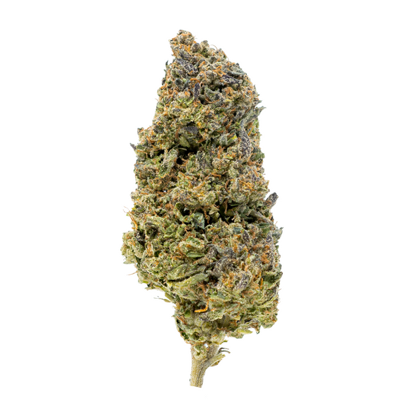 Gold Spectrum THCA Flower (Connoisseur) - NYC Vapor