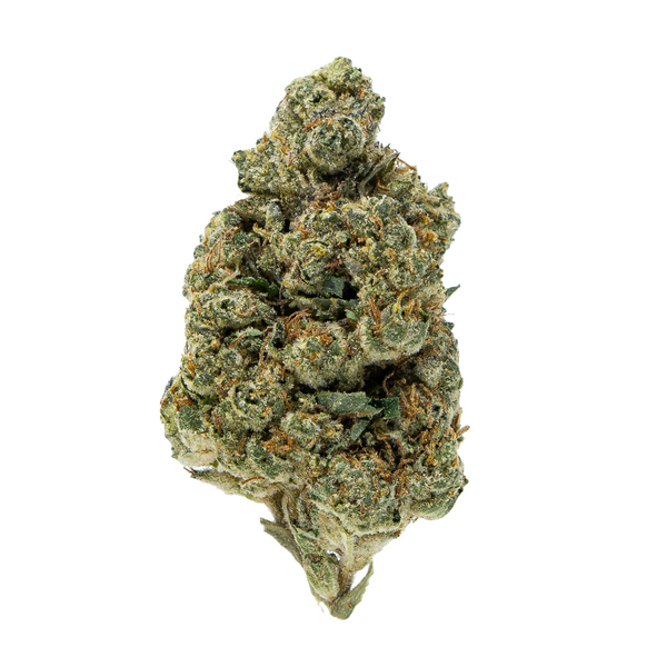 Gold Spectrum THCA Flower (Top) - Northern  Lights