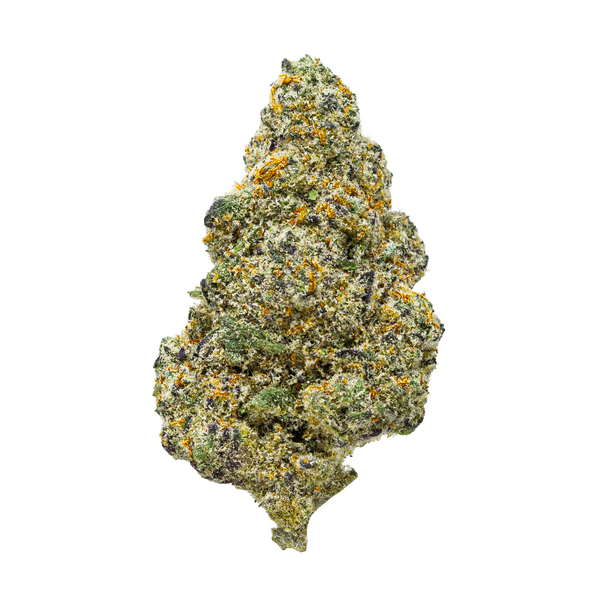 Gold Spectrum THCA Flower (Exotic) - Orange Cookies