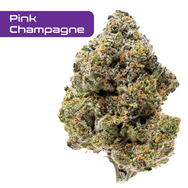 Gold Spectrum THCA Flower - Exotic Quality Strain of the Month