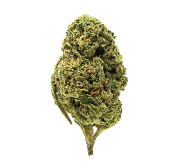 Gold Spectrum THCA Flower (Top) - Pound Cake