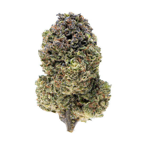 Gold Spectrum THCA Flower (Top) - Punch Larry Cookies