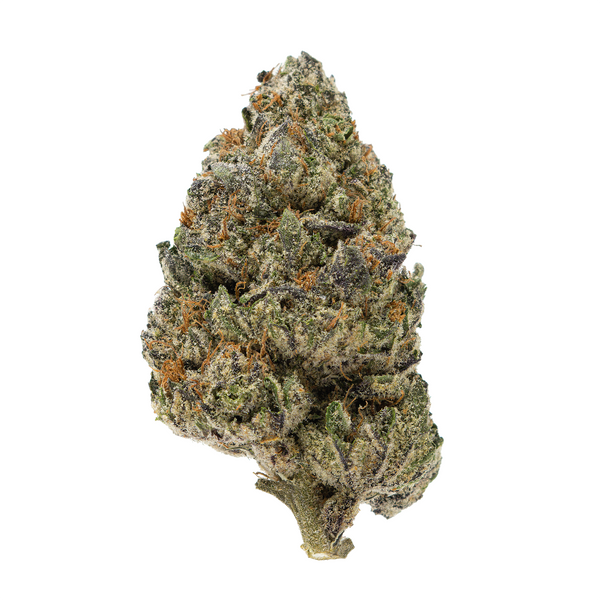 Gold Spectrum THCA Flower (Connoisseur) - Purple Scoops
