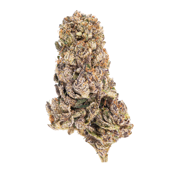 Gold Spectrum THCA Flower (Connoisseur) - Purple Urkle
