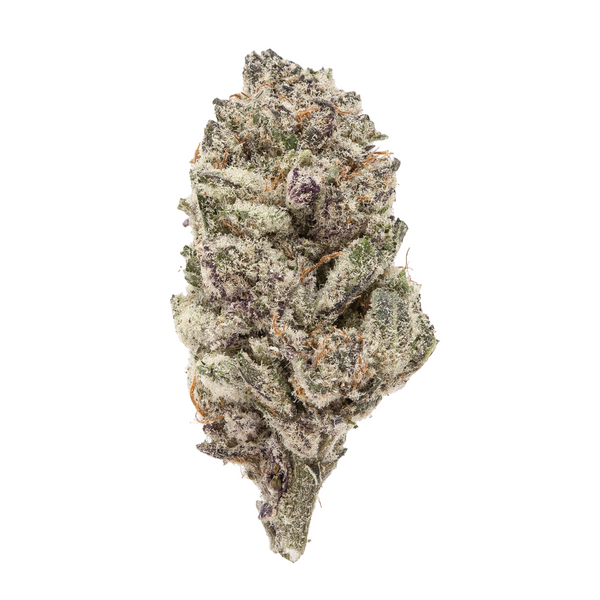 Gold Spectrum THCA Flower (Connoisseur) - Purple Haze