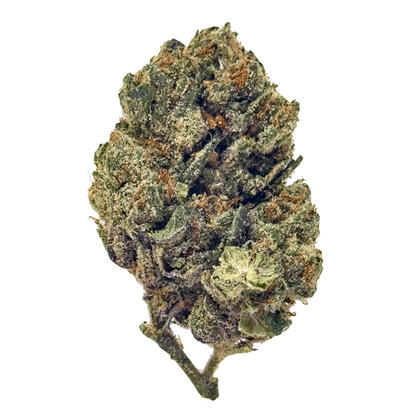 Gold Spectrum THCA Flower (Connoisseur) - RS:11