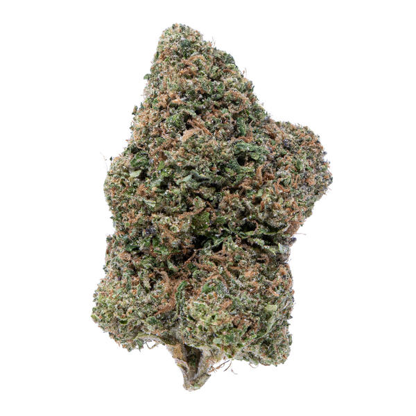 Gold Spectrum THCA Flower (Top) - Rainbow Beltz