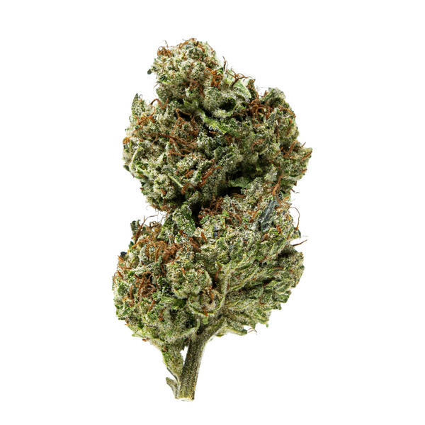 Gold Spectrum THCA Flower (Top) - Red Pave