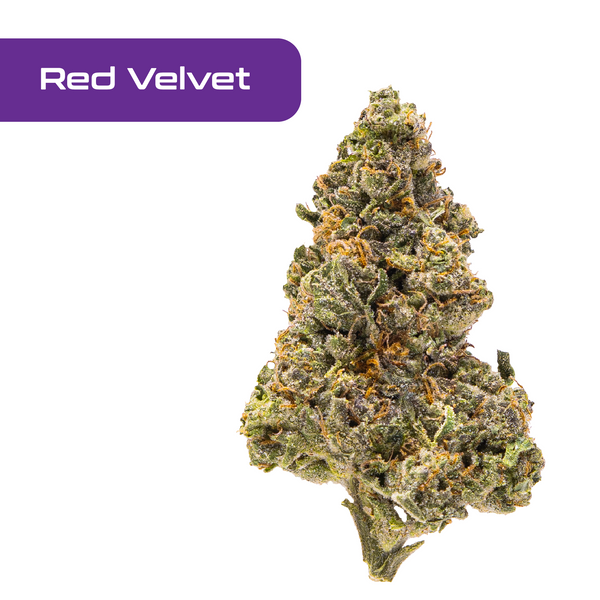 Gold Spectrum THCA Flower - Top Quality Strain of the Month