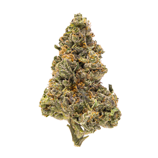 Gold Spectrum THCA Flower (Top) - Red Velvet