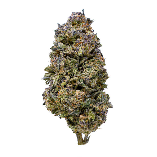 Gold Spectrum THCA Flower (Top) - Rumple Mintz