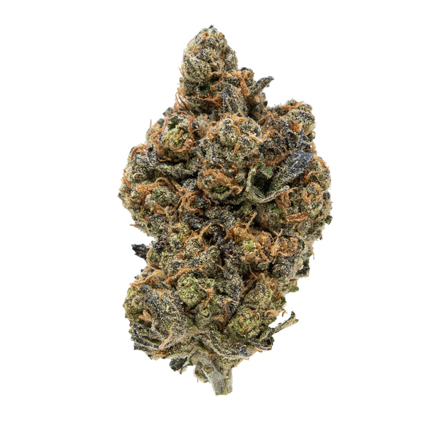 Gold Spectrum THCA Flower (Connoisseur) - Sherb BX1