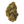 Gold Spectrum THCA Flower - Exotic Quality Strain of the Month