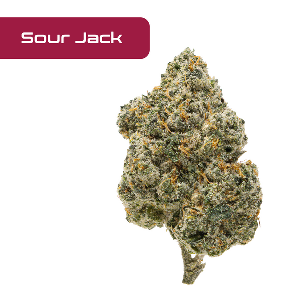 Gold Spectrum THCA Flower - Exotic Quality Strain of the Month