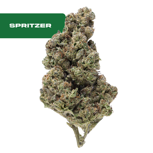 OVERSTOCK Strain of the Month - Spritzer