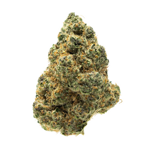 Close-up of a cannabis bud on a white background
