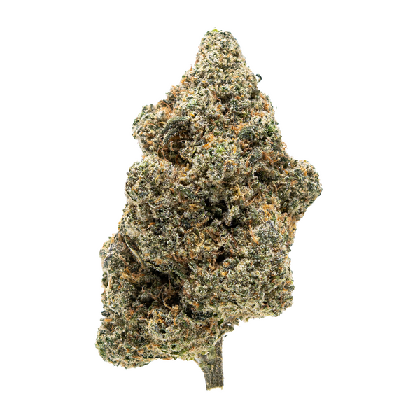 Gold Spectrum THCA Flower (Exotic) - Super Menthol Haze