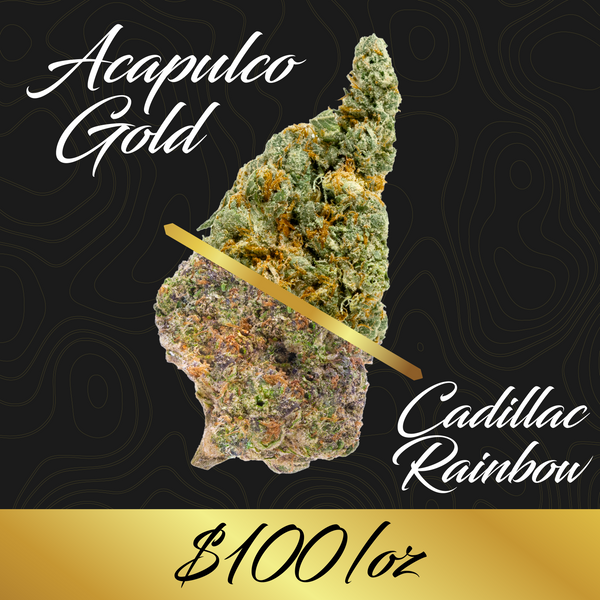 Gold Spectrum THCA Flower - Top Quality Strain of the Month