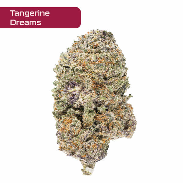 Gold Spectrum THCA Flower - Exotic Quality Strain of the Month