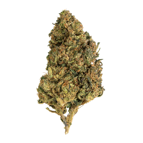 Flor de THCA de espectro dorado (parte superior) - Cherry Cookies