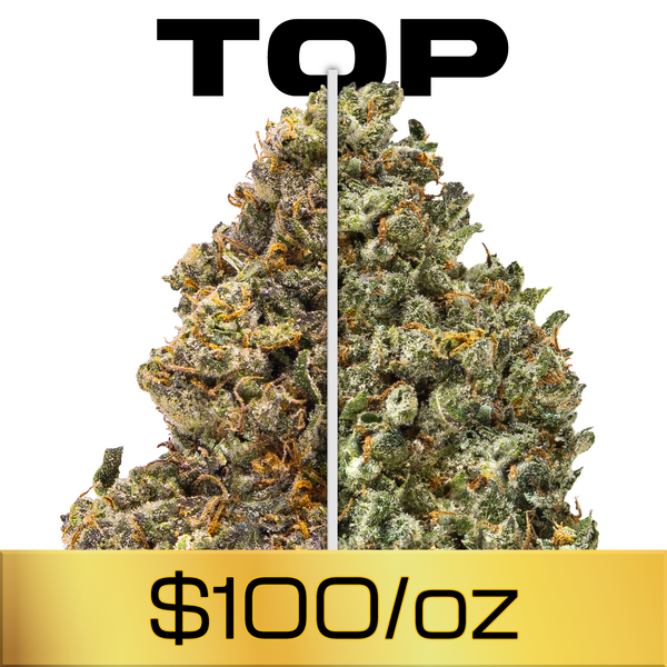 Gold Spectrum THCA Flower - Top Quality Strain of the Month