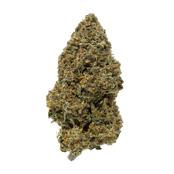 Gold Spectrum THCA Flower (Top) - Trop Runtz