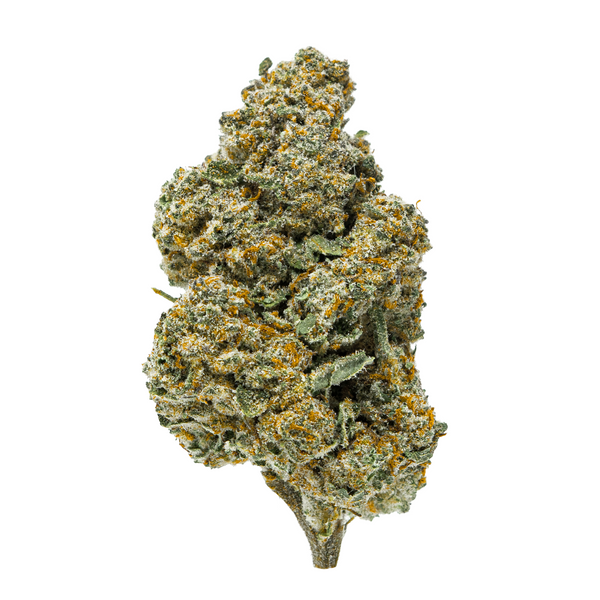 Gold Spectrum THCA Flower (Top) - Tropical Punch