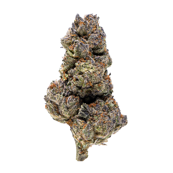 Gold Spectrum THCA Flower (Top) - Truffles