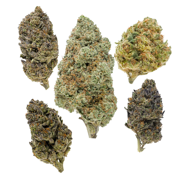 Gold Spectrum THCA Flower - 1G Clearance Flower