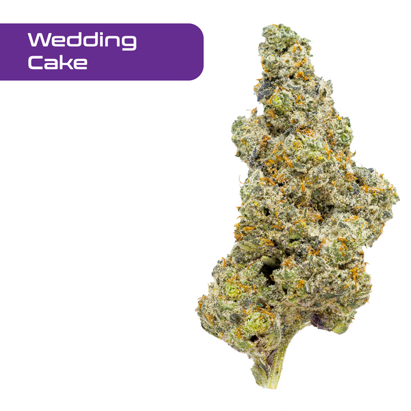 Flor de THCA de espectro dorado: variedad exótica del mes