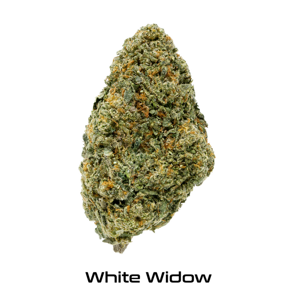 Gold Spectrum THCA Flower - Top Quality Strain of the Month