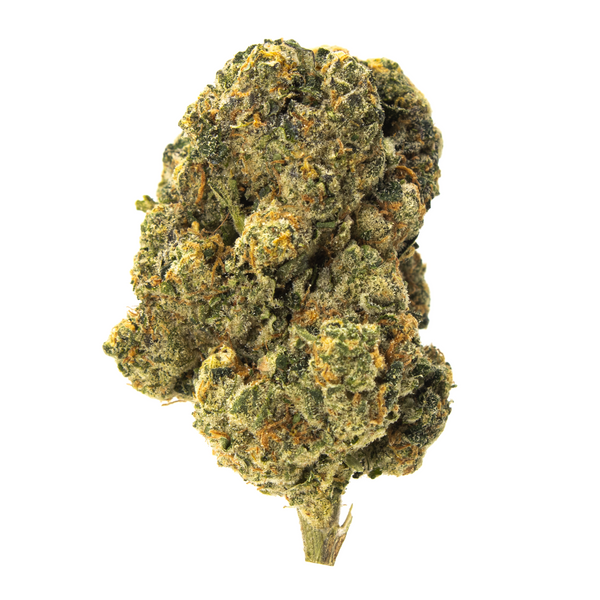 Gold Spectrum THCA Flower (Connoisseur) - White Rhino