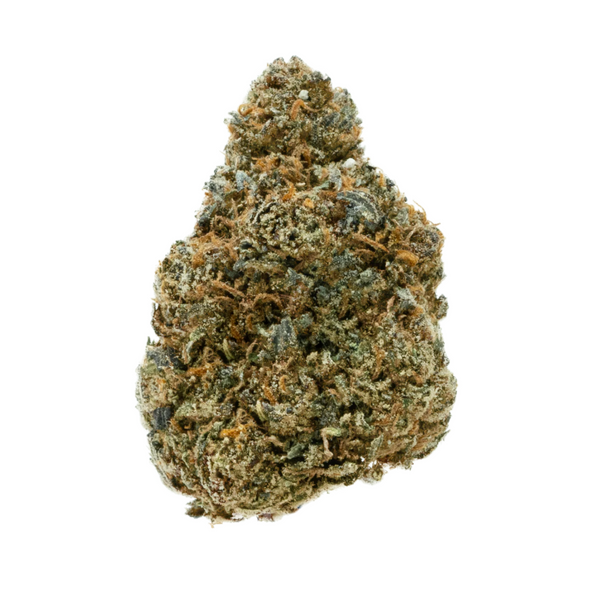Close-up of a clump of cannabis buds on a white background