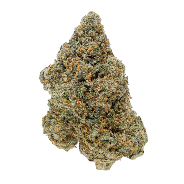 Gold Spectrum THCA Flower (Connoisseur) - Wizard Fuel